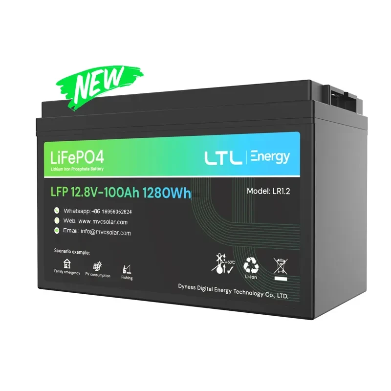 Batterie LITHIUM DYNESS 12 V 100Ah